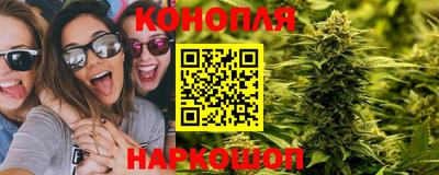 jwh Краснодар
