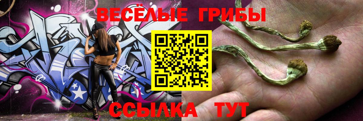 Галлюциногенные грибы MAGIC MUSHROOMS Ростов Великий