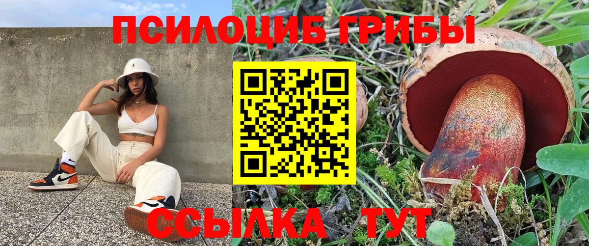 Галлюциногенные грибы Psilocybe  Псилоцибиновые грибы Cubensis  Вход с VPN  Ростов Великий 